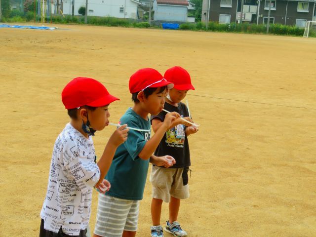 IMG_1533.jpg
