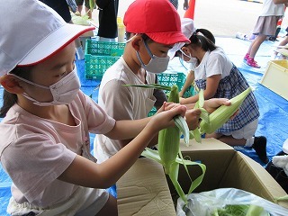 IMG_0200.jpg