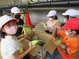 IMG_0192.jpg