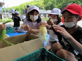 IMG_0194.jpg