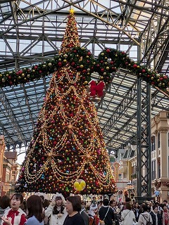 IMG_0556.jpg
