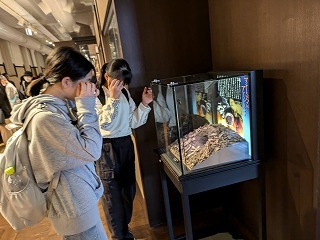IMG_0589.jpg