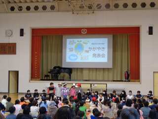 DSC02507.jpg