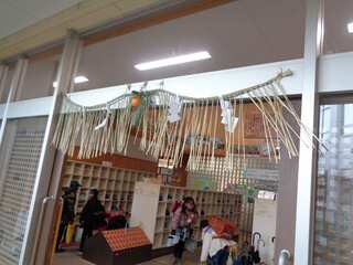 DSC02785.jpg