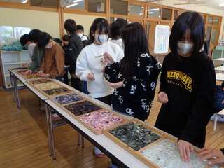 DSC02987.jpg