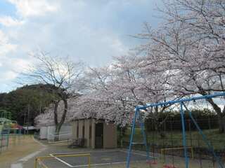 IMG_1883.jpg