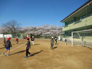 IMG_2069.jpg