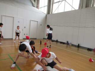 IMG_2431.jpg