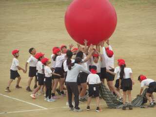 IMG_2689.jpg