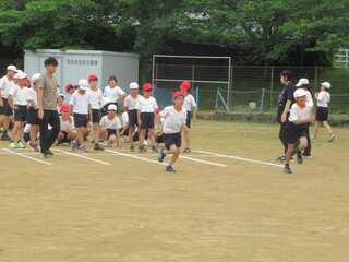 IMG_2701.jpg