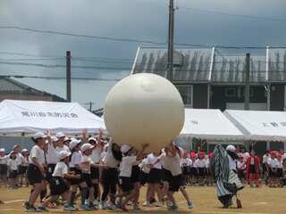 IMG_2875.jpg