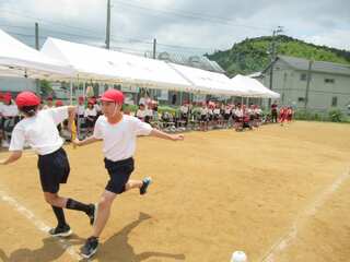 IMG_2893.jpg