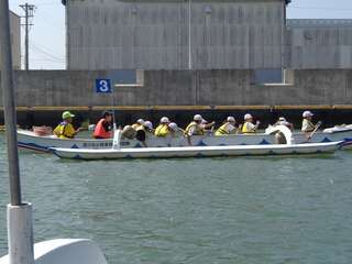 DSC02764.jpg