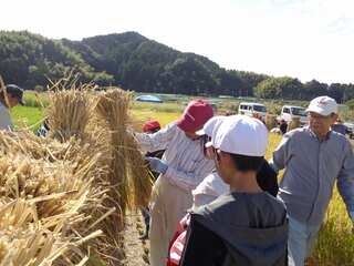 DSC05226.jpg