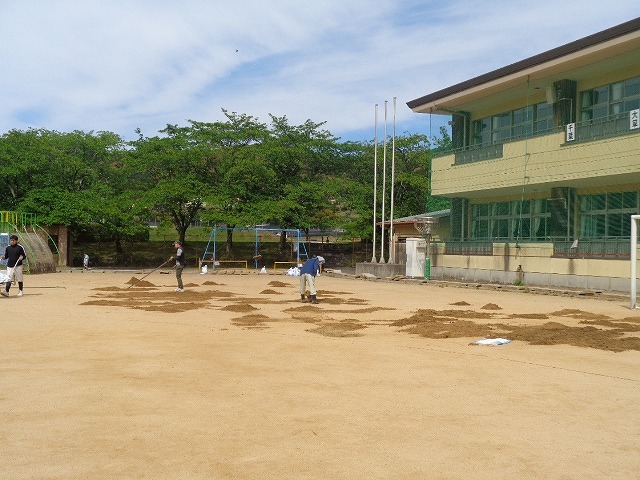 DSC02413.jpg