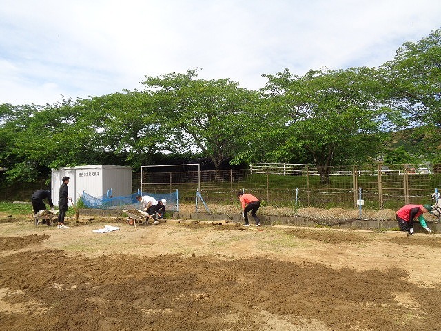 DSC02417.jpg