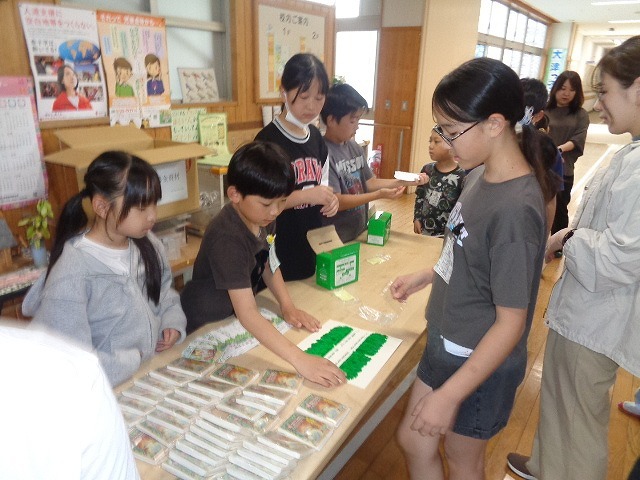 DSC02438.jpg