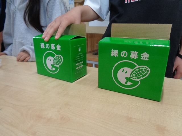 DSC02442.jpg