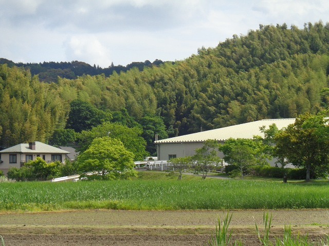 DSC02451.jpg