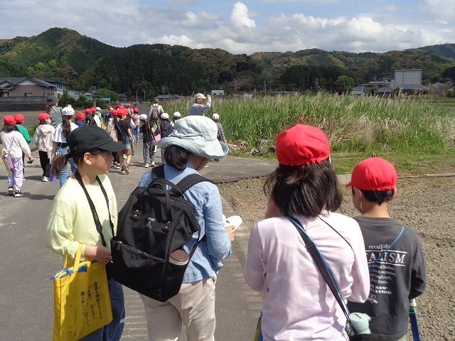 DSC02452.jpg