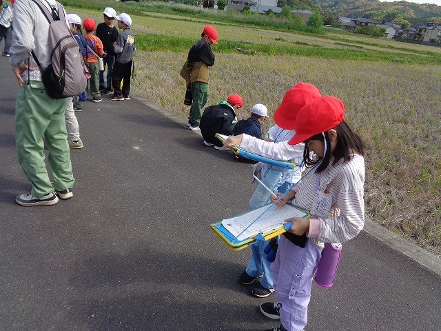 DSC02455.jpg