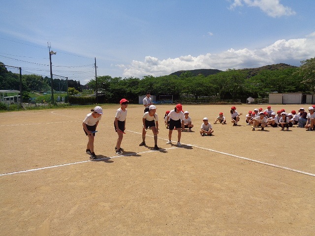 DSC02484.jpg