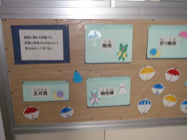 DSC02687.jpg