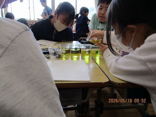 IMG_2877.jpg
