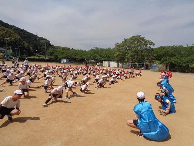 DSC02710.jpg