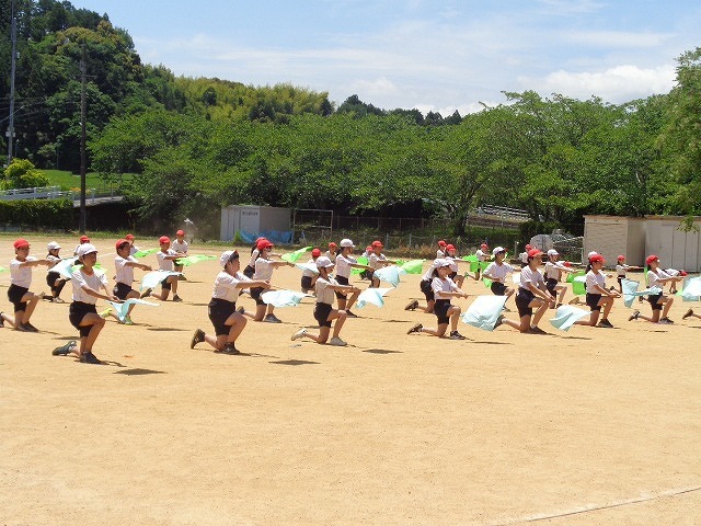 DSC02741.jpg