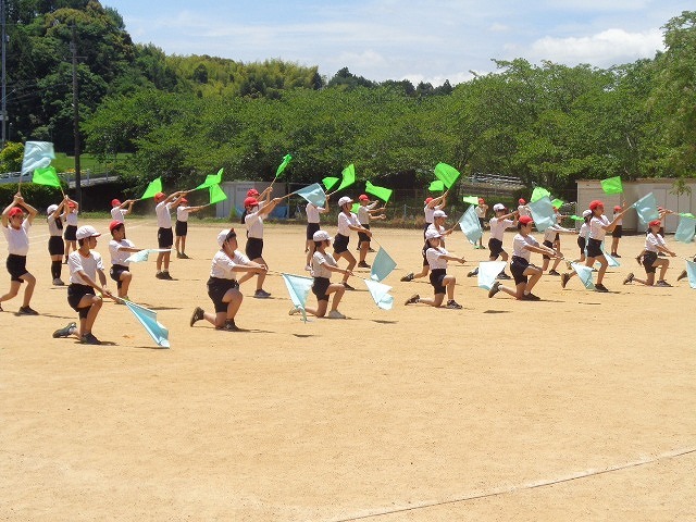 DSC02742.jpg