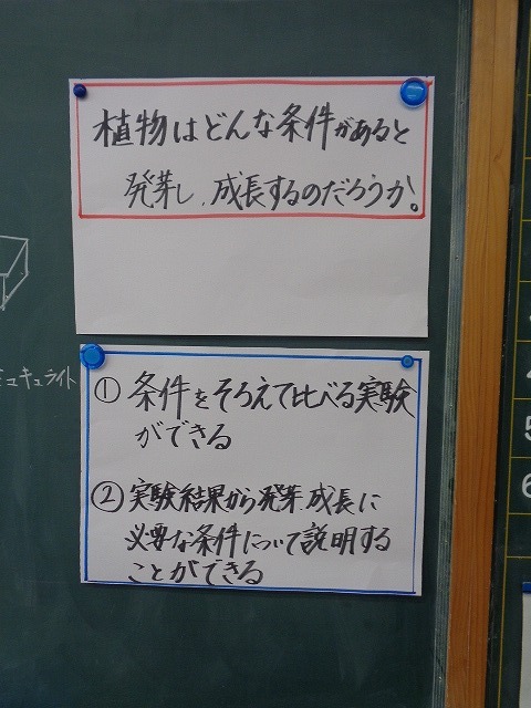 DSC02785.jpg