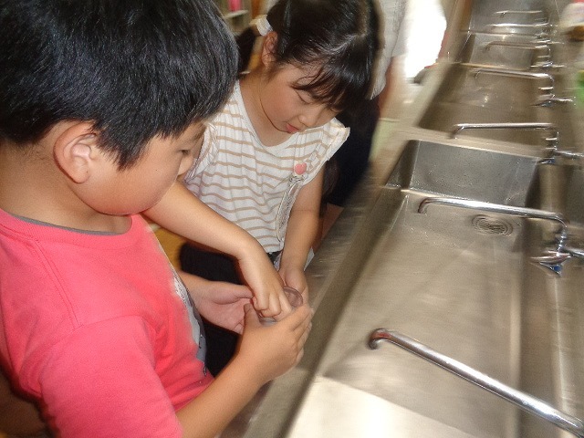 DSC02791.jpg