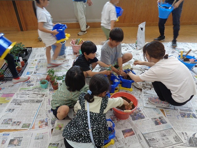 DSC02797.jpg