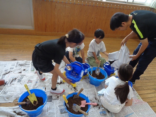 DSC02798.jpg