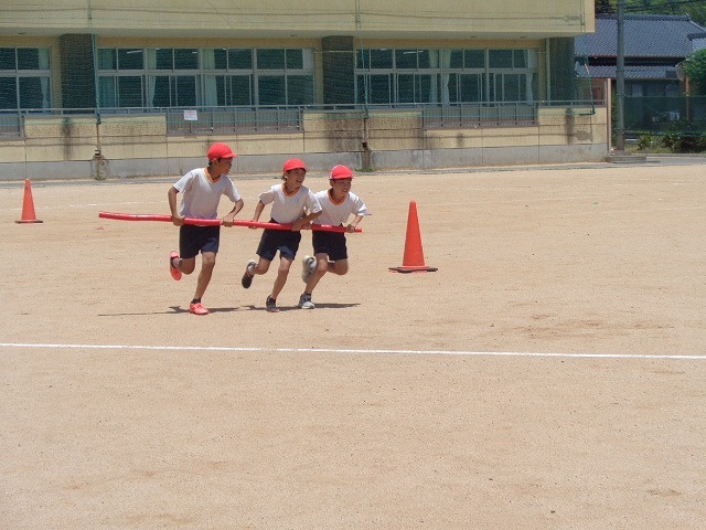 DSC02856.jpg