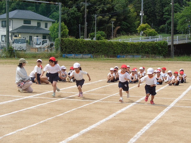 DSC02905.jpg