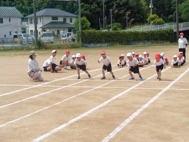 DSC02906.jpg