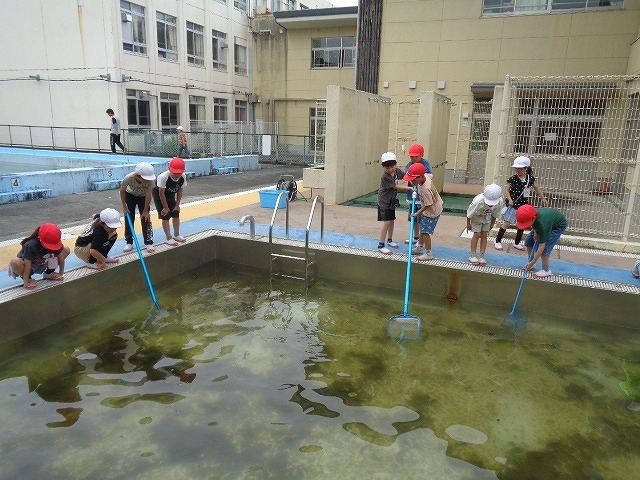 DSC02922.jpg