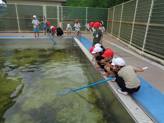 DSC02924.jpg