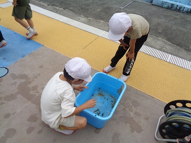 DSC02928.jpg