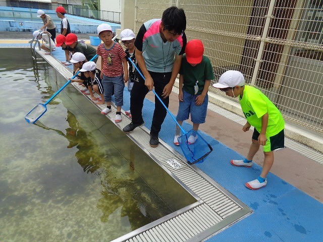 DSC02929.jpg