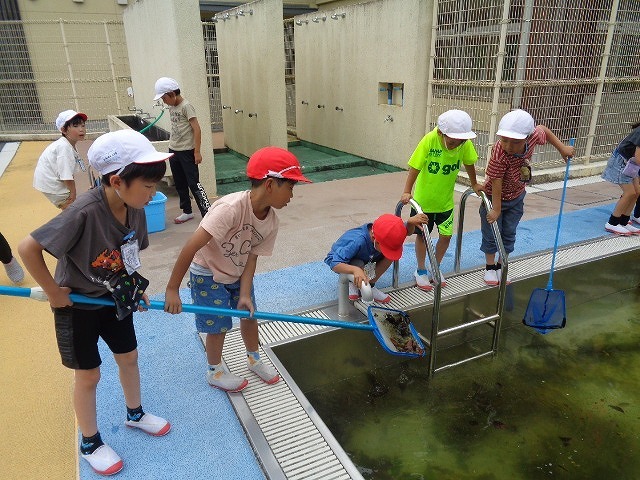 DSC02932.jpg