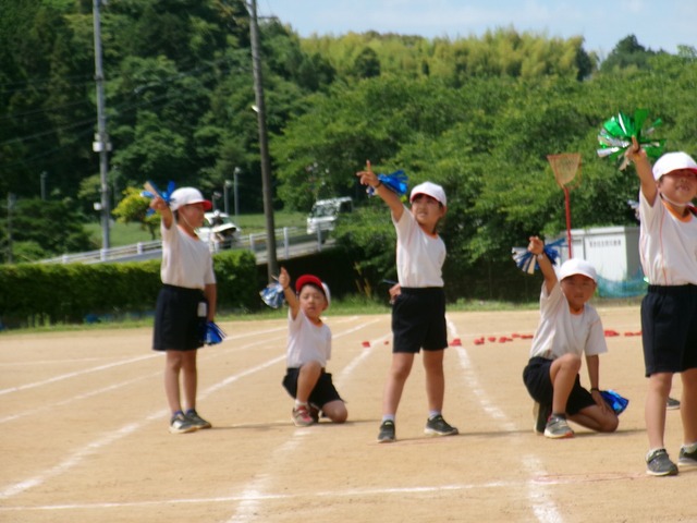 383_0408.jpg