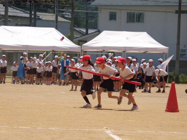 DSC02873.jpg