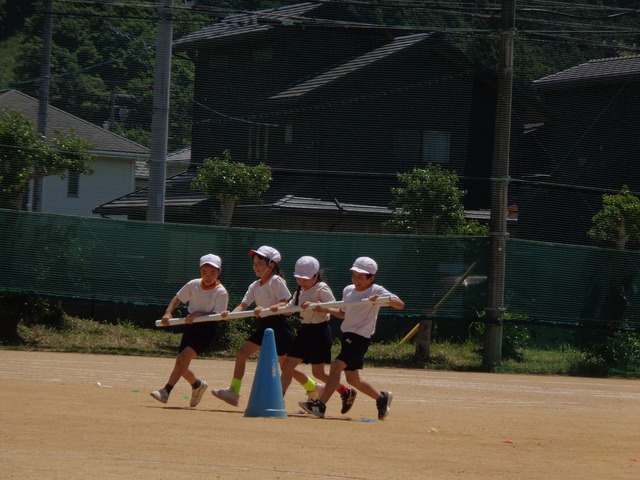 DSC02875.jpg