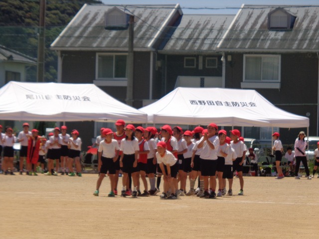 DSC02877.jpg