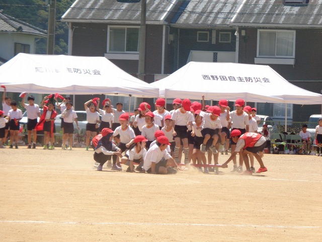 DSC02880.jpg