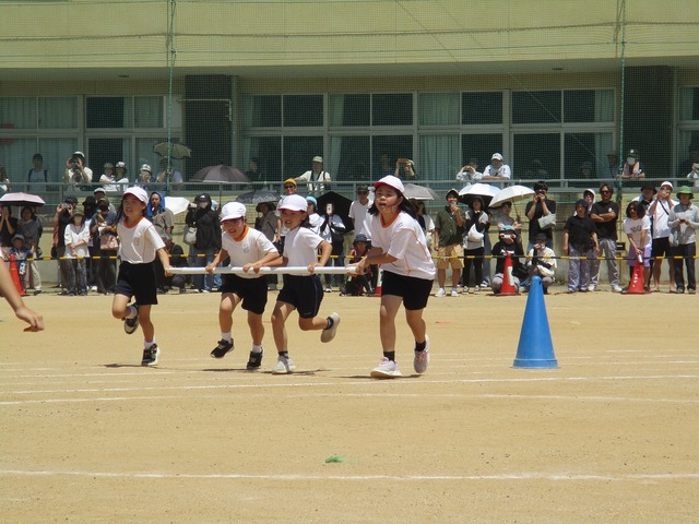 IMG_2994.jpg