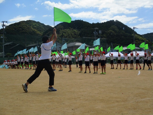 IMG_2987.jpg